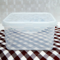 Christmas gift Clear microwave lock system food container set